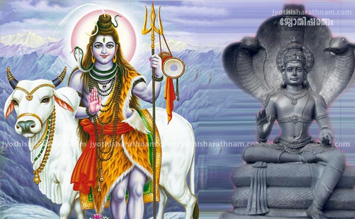 ദുരിതം വിതയ്ക്കുന്ന  ഗുളികന്‍