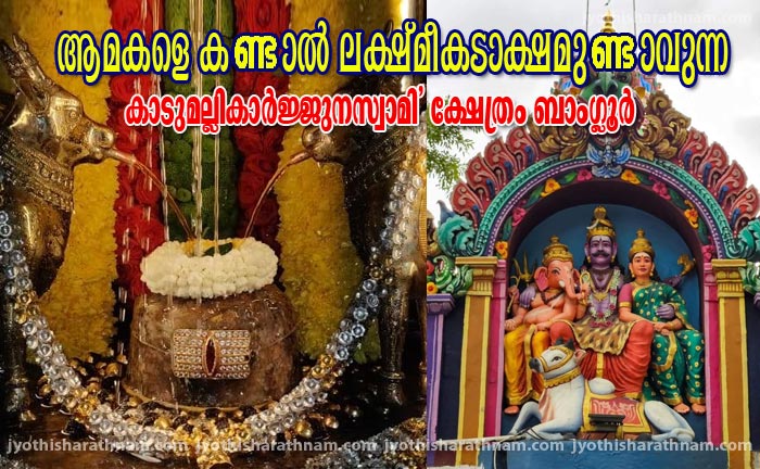 ആമകളെ കണ്ടാല്‍ ലക്ഷ്മീകടാക്ഷമുണ്ടാവുന്ന കാടുമല്ലികാര്‍ജ്ജുനസ്വാമി ക്ഷേത്രം  