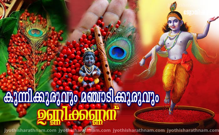 കുന്നിക്കുരുവും മഞ്ചാടിക്കുരുവും  ഉണ്ണിക്കണ്ണന്