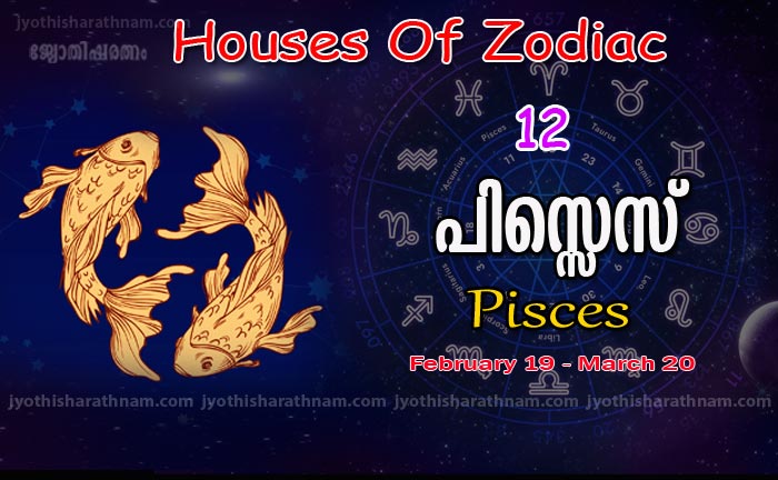സാന്ത്വനം ആഗ്രഹിക്കുന്നവര്‍ പിസ്സെസുകാരുടെ തോളില്‍ തലചായ്ക്കൂ...